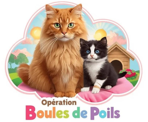 Boules de Poils